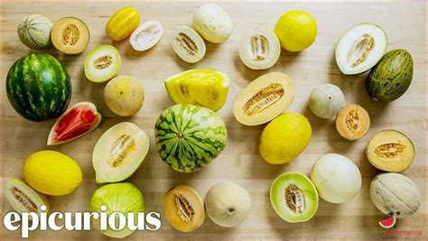 melonstu|Types of Melons: A Comprehensive Guide!